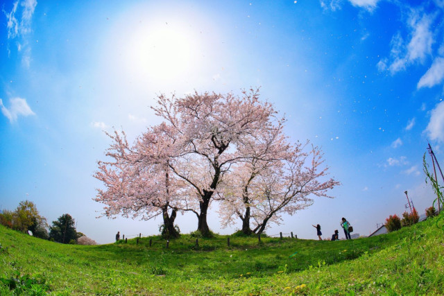 塚越公園